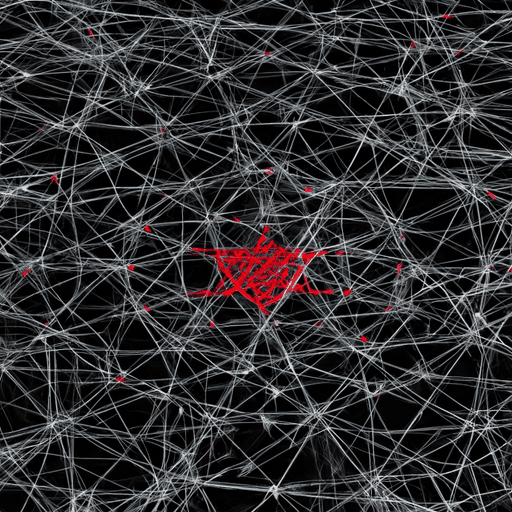 Binance to Terminate Tron USDC Support; Faces Blockade in Philippines